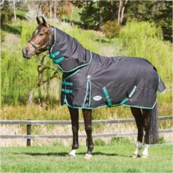 Weatherbeeta Green-Tec 900D Lite Plus Detach-A-Neck Rug - Black / Bottle Green