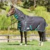 Weatherbeeta Green-Tec 900D Detatch-A-Neck Medium - Black / Bottle Green -Equestrian Clothing Sales Weatherbeeta20Green Tec20900D20Deatch A Neck20Lite20Plus20 20Black20Bottle20Green201.700x700