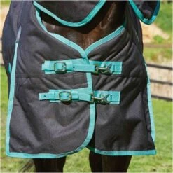 Weatherbeeta Green-Tec 900D Lite Plus Detach-A-Neck Rug - Black / Bottle Green -Equestrian Clothing Sales Weatherbeeta20Green Tec20900D20Deatch A Neck20Lite20Plus20 20Black20Bottle20Green205.700x700 1