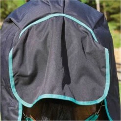 Weatherbeeta Green-Tec 900D Lite Plus Detach-A-Neck Rug - Black / Bottle Green -Equestrian Clothing Sales Weatherbeeta20Green Tec20900D20Deatch A Neck20Lite20Plus20 20Black20Bottle20Green206.700x700 1