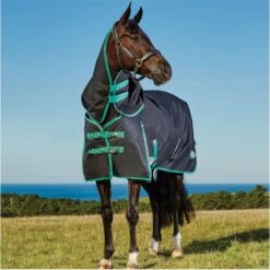 Weatherbeeta Green-Tec 900D Lite Plus Detach-A-Neck Rug - Black / Bottle Green -Equestrian Clothing Sales Weatherbeeta20Green Tec20900D20Deatch A Neck20Lite20Plus20 20Black20Bottle20Green208.700x700 1