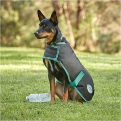 2022 Weatherbeeta Green-Tec 900D Dog Coat Lite Plus 1006215 - Black / Bottle Green