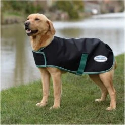 2022 Weatherbeeta Green-Tec 900D Dog Coat Medium 1006216 - Black / Bottle Green