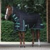 Weatherbeeta Green-Tec Medium-Lite Combo Neck Rug - Black / Green -Equestrian Clothing Sales Weatherbeeta20Green Tec20Stable20Combo20Neck20Medium20Lite20100776220 20Black20Bottle20Green.700x700