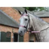 Weatherbeeta Reflective Bridle Kit 4 Piece Pink 1006587 Colour Pink -Equestrian Clothing Sales Weatherbeeta20Reflective20Bridle20Kit20420Piece20Pink201006587 lifestyle.700x700