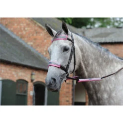 Weatherbeeta Reflective Bridle Kit 4 Piece Pink 1006587 Colour Pink