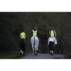 2022 Weatherbeeta Reflective Wrap Around Exercise Sheet 1004324 - Silver / Black -Equestrian Clothing Sales Weatherbeeta20Reflective20Wrap20Around20Exercise20Sheet20Silver20Black201004324 lifestyle.700x700