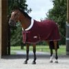 Weatherbeeta Sherpa Fleece Cooler Standard Neck Rug - Maroon / White 1 Weatherbeeta Sherpa Fleece Cooler Standard Neck Rug - Maroon / White -Equestrian Clothing Sales Weatherbeeta20Sherpa20Fleece20Cooler20Standard20Neck20Maroon20White20front.700x700