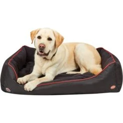 Weatherbeeta Therapy-Tec Dog Bed - Black / Red