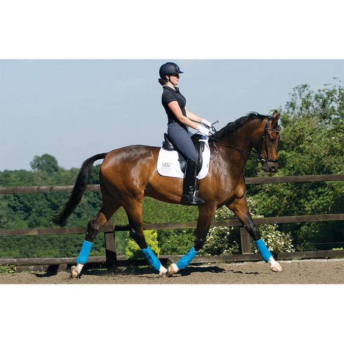 Woof Wear Training Wraps Turquoise 7 Woof Wear Training Wraps Turquoise - Image 5