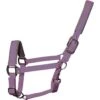 2022 Woof Wear Contour Head Collar WS0022 - Lilac Colour Lilac -Equestrian Clothing Sales Woof20Wear20Full20Size20Contour20Head20Collar20WS002220 20Lilac201.700x700