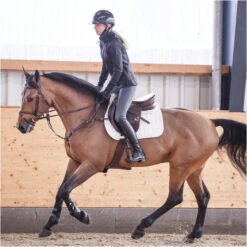 2022 Ariat Womens Palisade Paddock Boot & Palisade Chap Bundle - Black -Equestrian Clothing Sales ariat palisade tall blk ls07.700x700