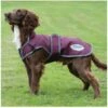 2022 Weatherbeeta Comfitec Premier Free Parka Deluxe Dog Coat 1003454051 - Grey / Maroon / White -Equestrian Clothing Sales bf1ee182a72dd1d7f5a7a6bcbafc5f26 12.700x700