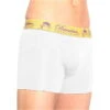 2022 Derriere Equestrian Mens Bonded Padded Shorty DEPBPSM14 - White Colour White -Equestrian Clothing Sales derriere mens bonded padded shorty white.700x700