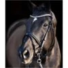 2023 HV Polo Legacy Deluxe Bridle 1201093501 - Black Colour Black 2 2023 HV Polo Legacy Deluxe Bridle 1201093501 - Black Colour Black -Equestrian Clothing Sales e1354fe99734e27b1ad538a2db810962969103d7 1201093501 9000 mfront.700x700