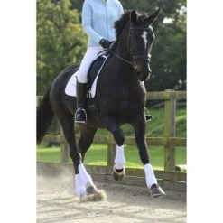 Equilibrium Stretch & Flex Training Wraps White -Equestrian Clothing Sales equilibrium stretch flex training wraps white eqb0500 worn.700x700