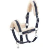 2023 Eskadron Double Pin Matt Gloss Evo-Wool Headcollar 420831 838 - Navy 1 2023 Eskadron Double Pin Matt Gloss Evo-Wool Headcollar 420831 838 - Navy -Equestrian Clothing Sales esk 420831 838 380 f.700x700