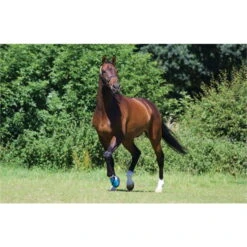 Woof Wear Medical Hoof Boot Blue -Equestrian Clothing Sales medical20feild.700x700