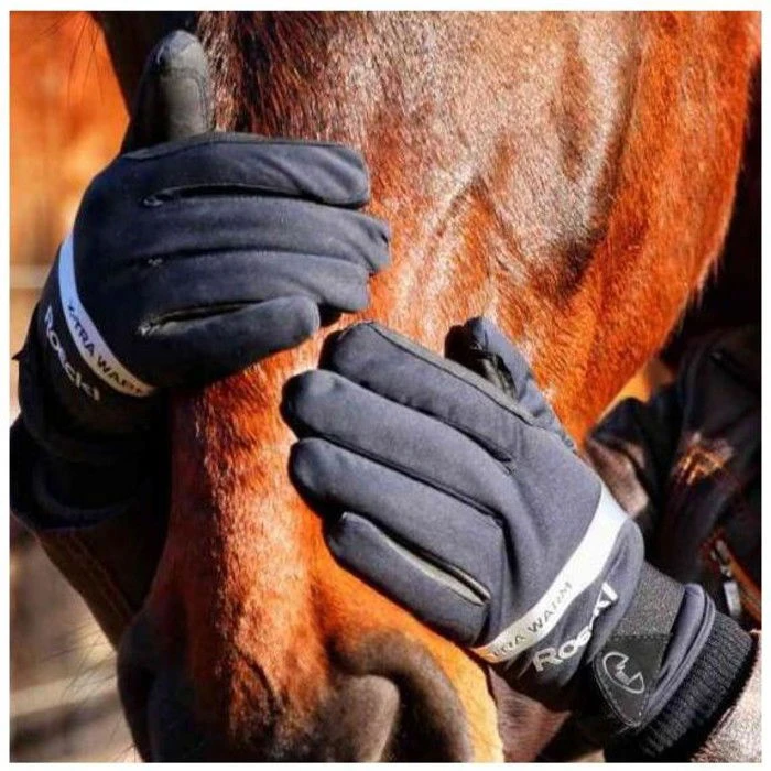 2021 Roeckl Wynne Gloves 301590 - Black 4 2021 Roeckl Wynne Gloves 301590 - Black - Image 2