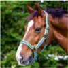 2022 Weatherbeeta Cooordinate Headcollar 1002094012 - Blue / Black / Yellow -Equestrian Clothing Sales wb headcollar coord bee01.700x700