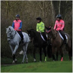 2022 Weatherbeeta Unisex Reflective Lightweight Waterproof Jacket 1005267 - Hi Vis Yellow Colour Hi Vis Yellow -Equestrian Clothing Sales weatherbeeta reflective lightweight waterproof jacket hi vis yellow 5B35D 71810 p.700x700